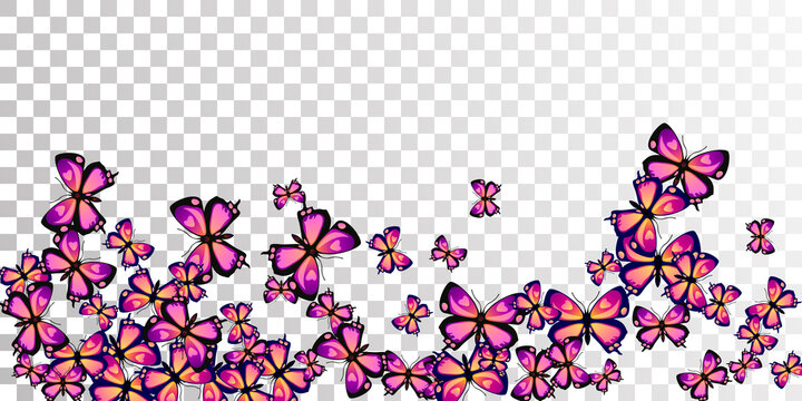 Magic purple butterflies abstract vector wallpaper. Spring vivid insects. Simple butterflies abstract girly illustration. Gentle wings moths graphic design. Fragile creatures.