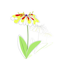 Vector illustration of the rudbeckia