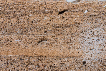 Building material texture. Bricks formed by seashells. Background, texture