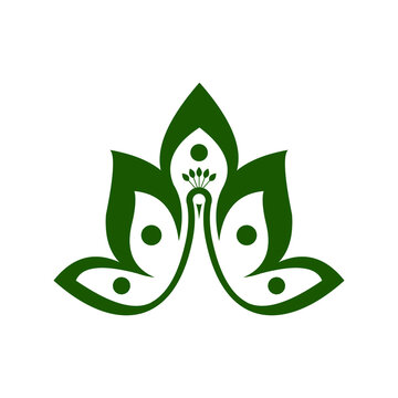 vector abstract illustration and religion peacock logo design
