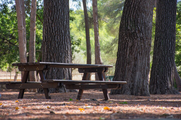 Wooden table in a forest ideal for a picnic or to relax with nature.