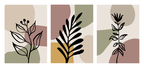 Abstract posters art set. Hand drawn various plants with shapes scenes in natural colors. Trendy contemporary design