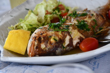 Fried FIsh and Salad