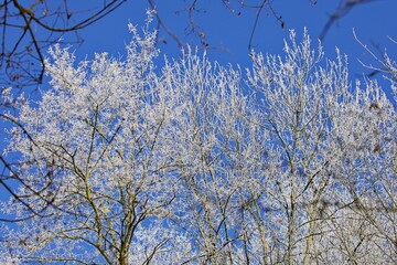 Winter in Deutschland