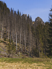 Landscape of the Tatra National Park