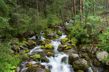 Zielony górski potok