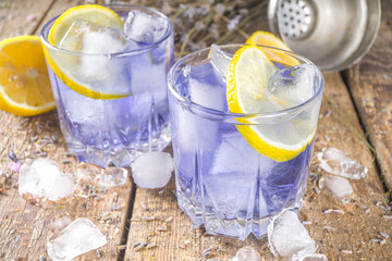 Lavender alcoholic cocktail