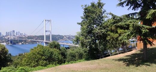 bridge over the river in the forest