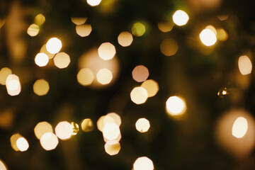 Fototapeta premium Golden Christmas lights bokeh. Christmas abstract background, glowing illumination on decorated christmas tree defocused in evening festive room. Merry Christmas and Happy holidays