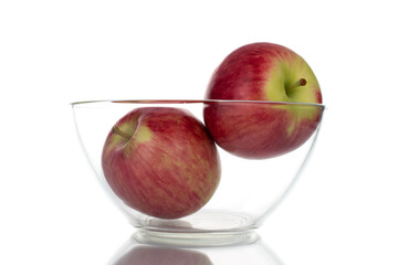 Two ripe organic apples in a glass dish, close-up, isolated on white.