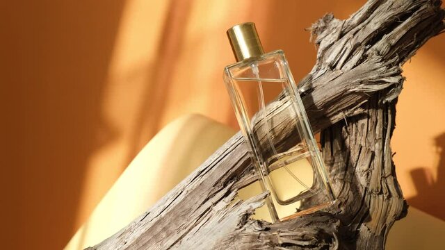 glass bottle of perfume on driftwood, natural shade background