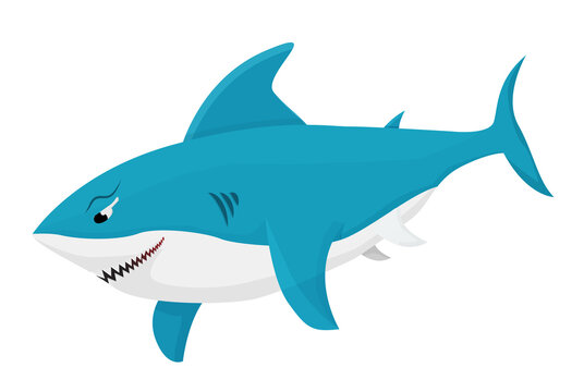blue shark isolated in white background