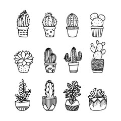 Cute hand drawing vector cactus in pots. set. vector illustration cacti
