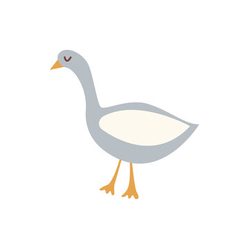 Cute goose. Household bird, farming. Poultry. Vector hand drawn colorful isolated