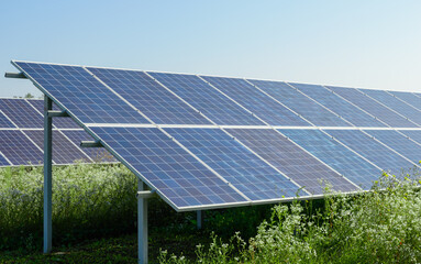 Solar panels close view above green grass under clear blue sky on a bright sunny day