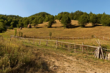 Fototapeta na wymiar View of a mountain pasture with traditional hayrick for the winter, forest and a vegetable garden near the village of Vasilyovo, Bulgaria 
