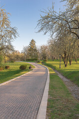 Walking in the Park. Beautiful landscape.