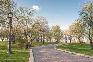 Walking in the Park. Beautiful landscape.