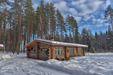 log cabin in a pine forest in winter