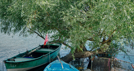 Fototapeta na wymiar A huge oil tree and small fishing boat in uluabat lake (golyazi) in Bursa with small turkish flag 