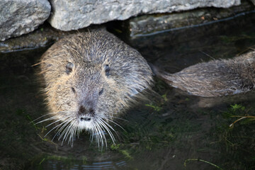 Impressionen aus Osterwieck am Fallstein Landkreis Harz
