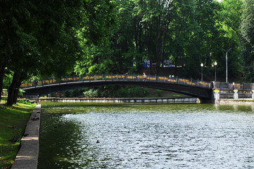 Obraz premium City Park. Big bridge over the pond in the park. Birds on the shore of the pond.
