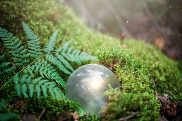 Mystical and magical magical, fantastic glowing crystal ball for rituals in the forest on the moss...