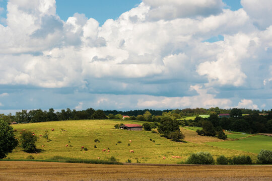 grüne bäuerliche Landschaft mit Wolkenhimmel