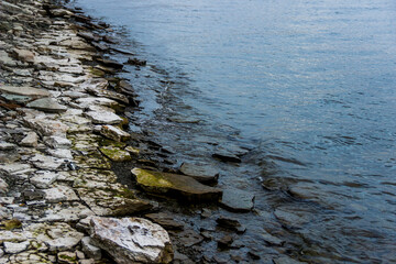 close-up of a bay bank