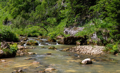 Naklejka na ściany i meble A sunny summer day, the sources of mountain rivers originating in alpine meadows replenish the ecosystem of vital resources with clean water.