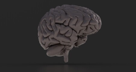 Human brain activity with plexus lines.. External cerebral connections in the frontal lobe.