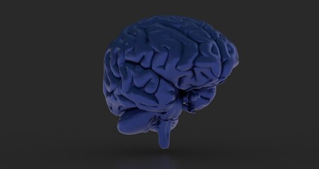 3d rendering of human brain on technology background