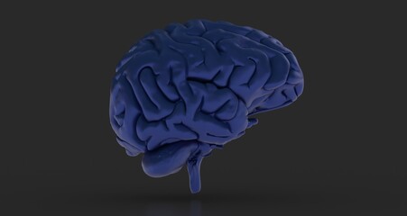 Obraz premium 3d rendering of human brain on technology background