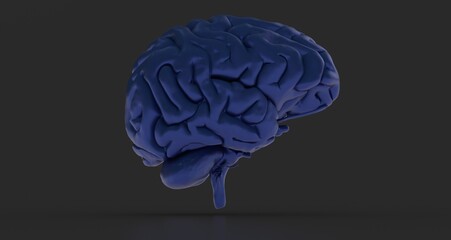 3d rendering of human brain on technology background