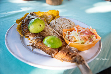 grilled salmon steak