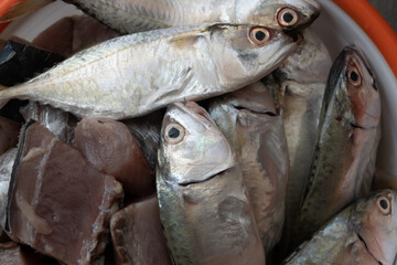 Obraz premium Small fish in the basin before cooking.