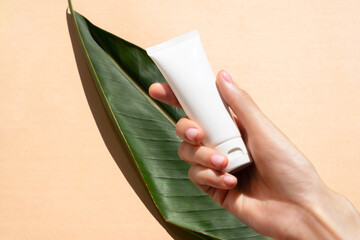 Hand hold natural cosmetic skincare blank tube packaging with green tropic leaf. Beauty and spa concept.