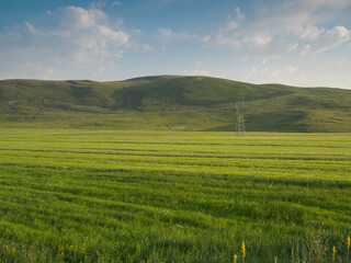Fototapeta premium beautiful rural panorama. sunny afternoon. wonderful spring landscape in the mountains. grassy field and rolling hills. 