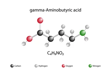 Foto op Aluminium Molecular formula of gamma-aminobutyric acid. Gamma aminobutyric acid is a chemical substance that plays an active role in the nervous system as an inhibitory neurotransmitter. © Firat