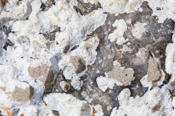 Texture of stone background