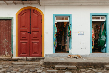 Street Dog sleeping