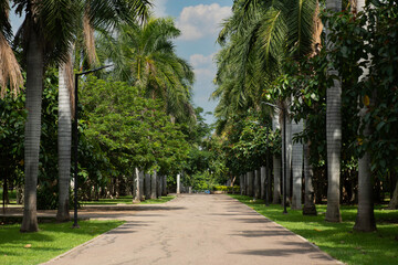 Obraz premium paisaje en sinaloa culiacan