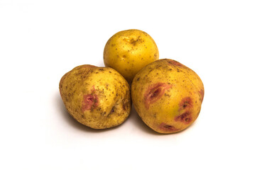Picasso potato variety for human consumption. Depending on the climatic zone of growth, it ripens early or mid-early.