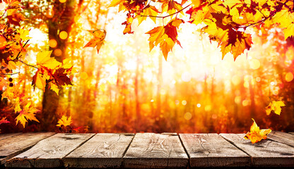 Autumn Table - Yellow Leaves And Forest Background