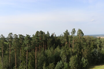 panoramic drone views of green hills in Belarus
