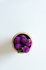 Gomphrena globosa or globe amaranth inside a wooden container on a light background
