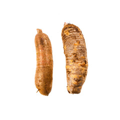 Taro and Yucca, organic roots. Manihot esculenta - Colocasia esculenta