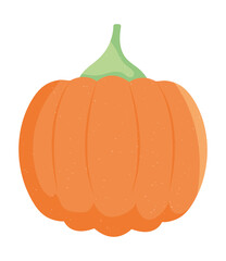 pumpkin vegetable icon