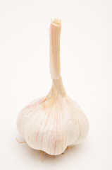 Ripe garlic on white background