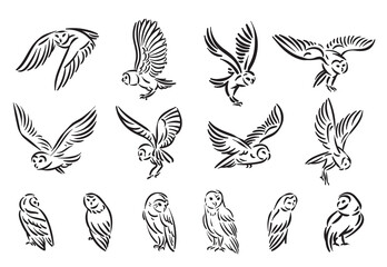 Line style owl bird hand drawn illustration set